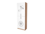 Cabinet for science classrooms, closed, 4-door with photo print