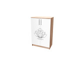 Closed cabinet for storing educational materials with photo printing